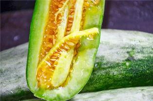 各种网红吃瓜视频下载,揭秘娱乐圈幕后故事 第2张 各种网红吃瓜视频下载,揭秘娱乐圈幕后故事 第2张